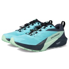 Salomon Кроссовки Salomon Sense Ride 5 GORE-TEX® с амортизационной и водонепроницаемой мембраной