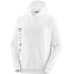 Salomon Men's Graphic Pull Over